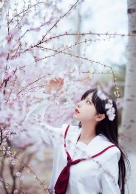 视频欧美精品_BD免费播放